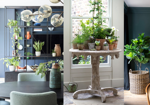 Indoor Plants and Greenery in Interior Design: Adding Life to Your Space