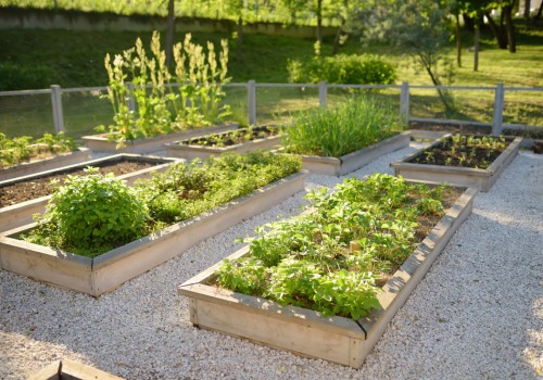 Building Raised Garden Beds: A Beginner's Guide to Transforming Your Outdoor Space